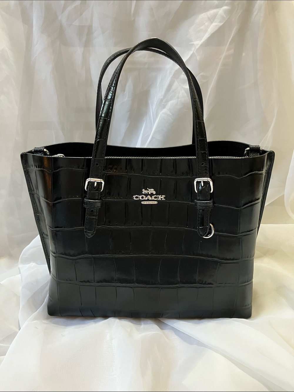 Crocodile Mollie 25